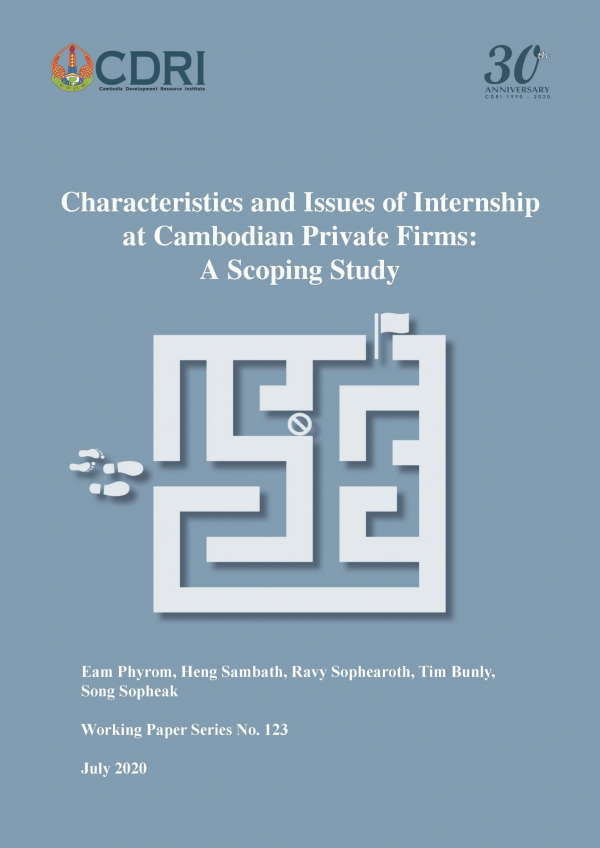 Characteristics and Issues of Internship at Cambodian Private Firms : A Scoping Study