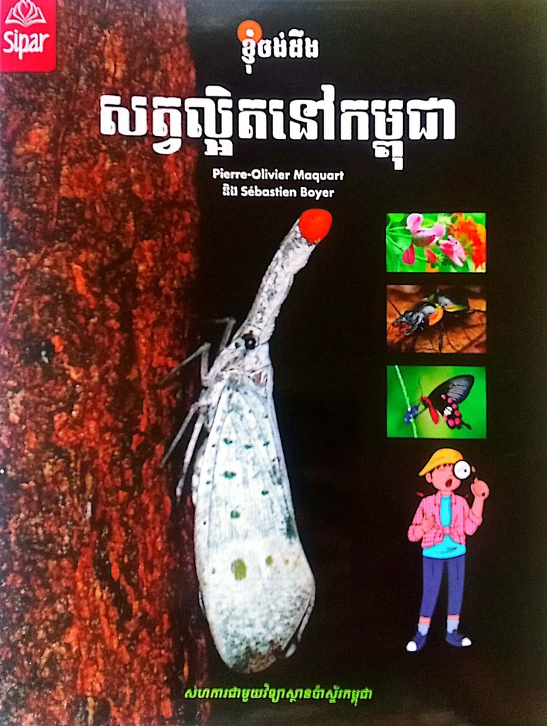 សត្វល្អិតនៅកម្ពុជា