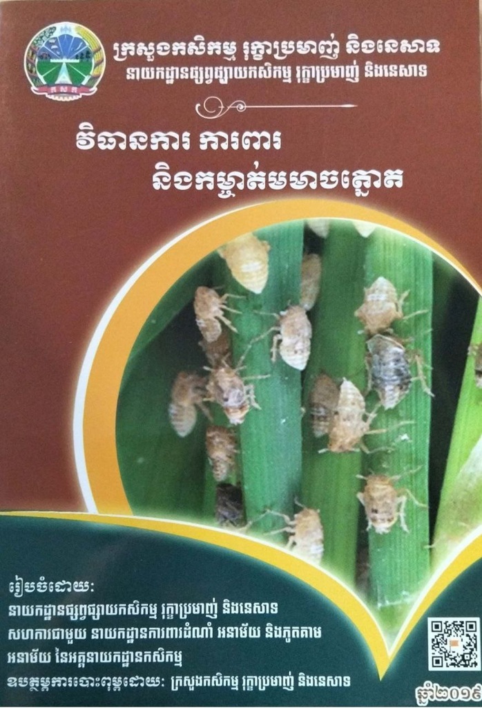 វិធានការ ការពារ និងកម្ចាត់មមាចត្នោត