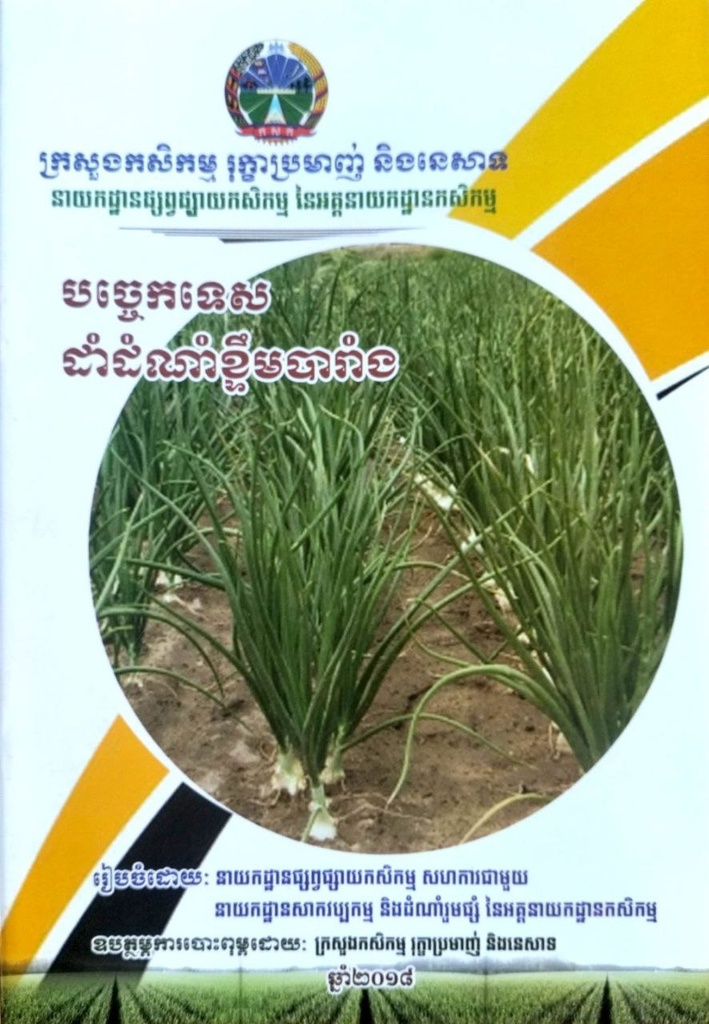 បច្ចេកទេសដាំដំណាំខ្ទឹមបារាំង