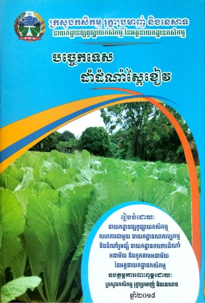 បច្ចេកទេសដាំដំណាំស្ពៃខៀវ