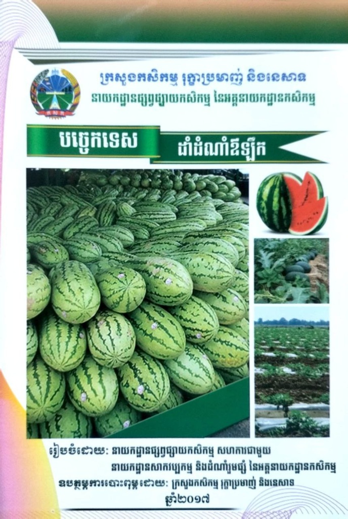 បច្ចេកទេស ដាំដំណាំឳឡឹក