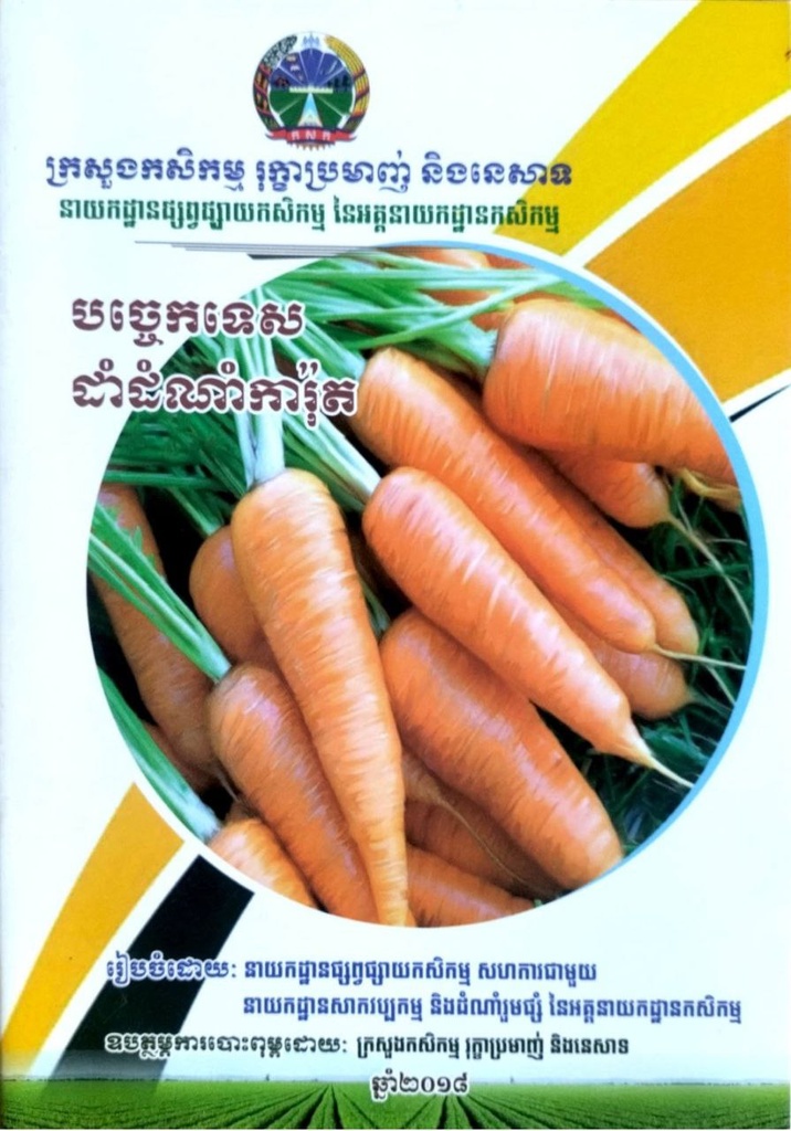 បច្ចេកទេសដាំដំណាំការ៉ុត