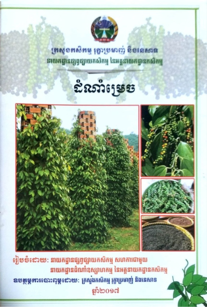 ដំណាំម្រេច