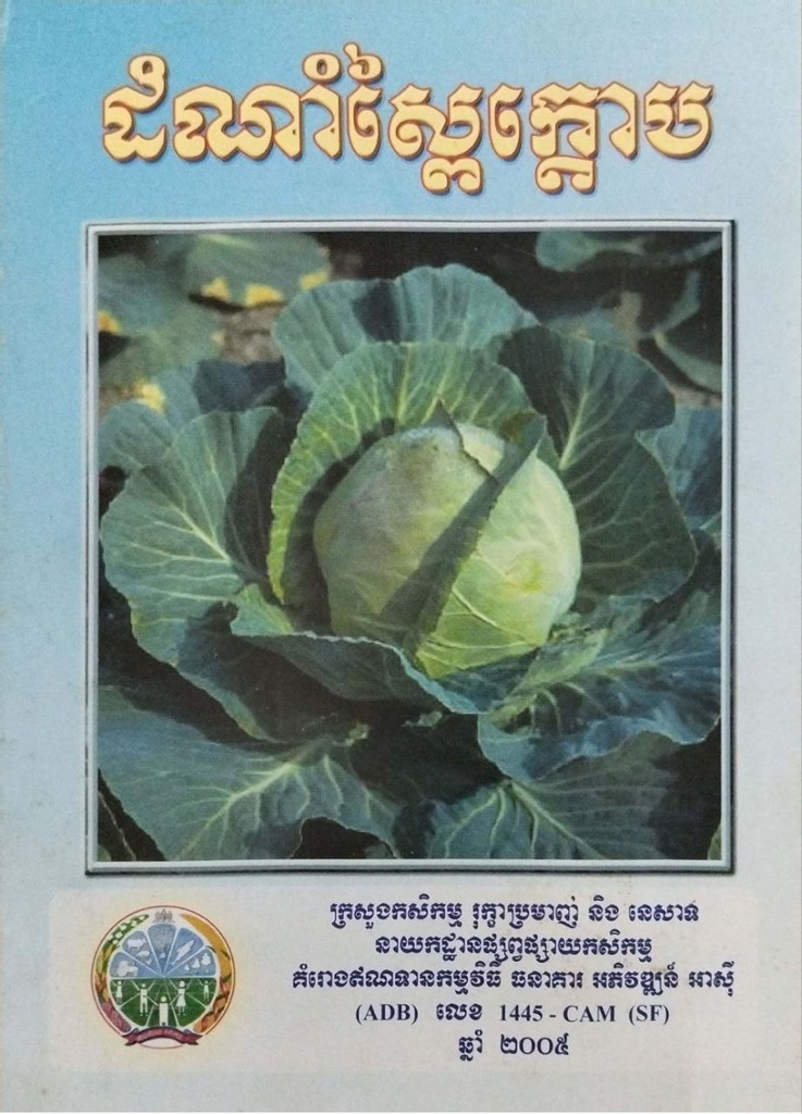 ដំណាំស្ពៃក្ដោប