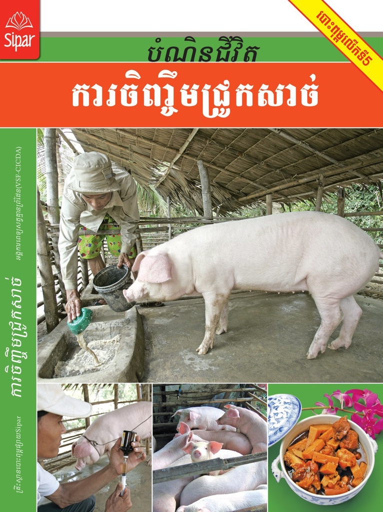 ការចិញ្ចឹមជ្រូកសាច់ (NF06)