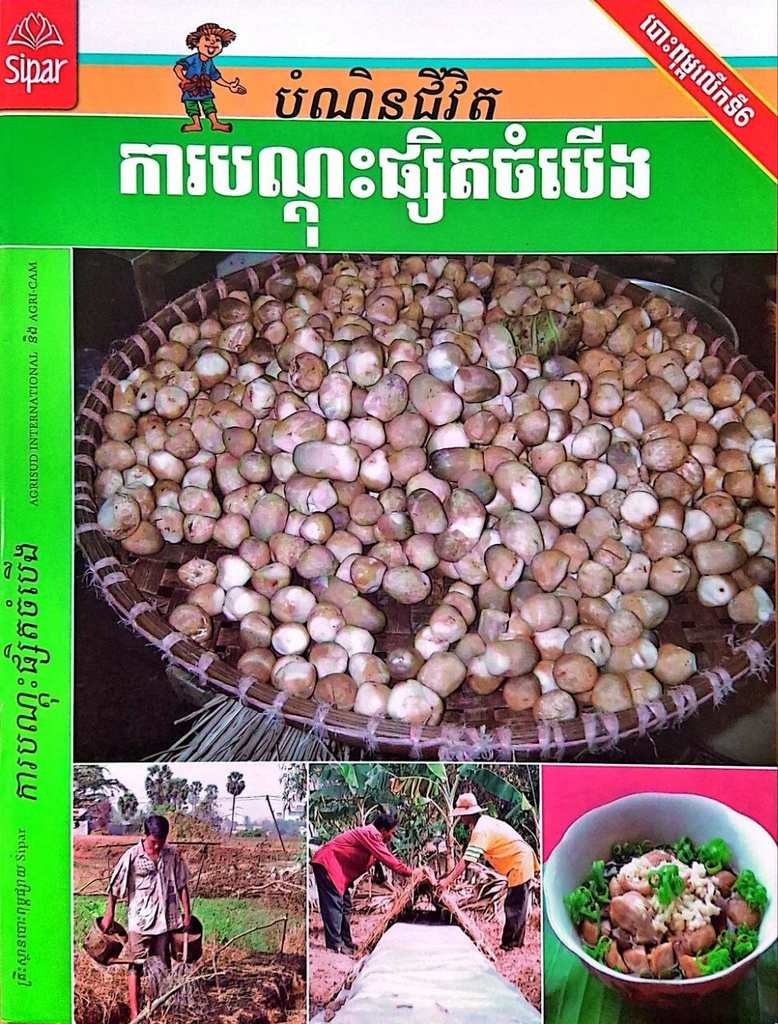 ការបណ្តុះផ្សិតចំបើង (NF01)