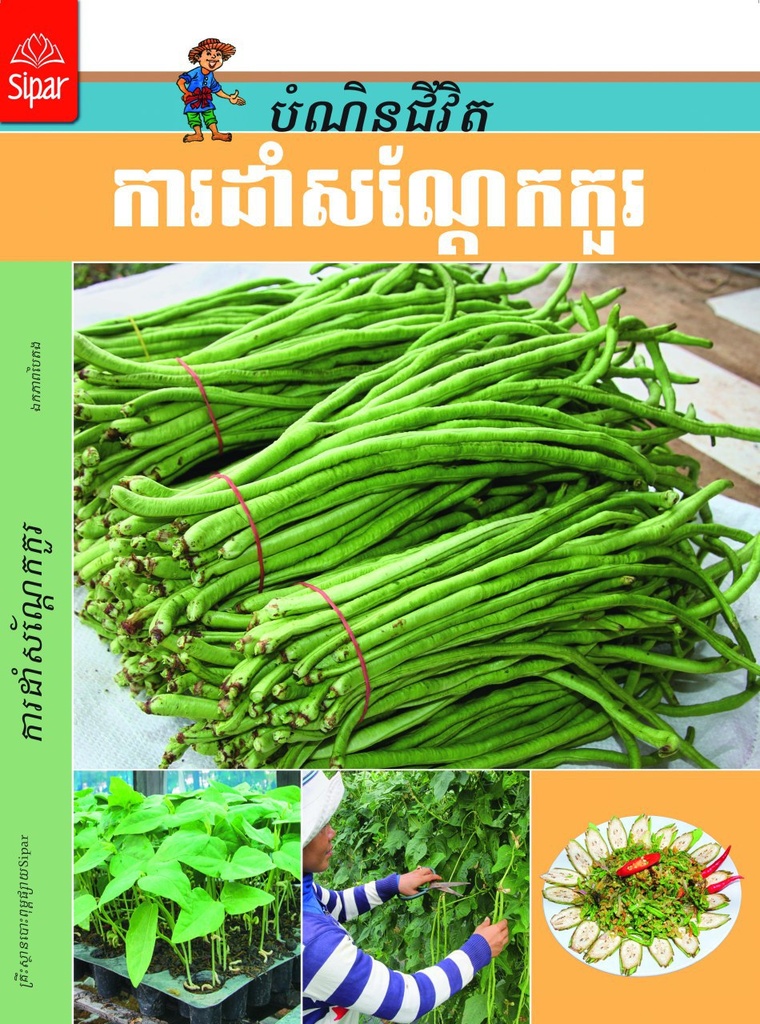 ការដាំសណ្តែកកួរ (NF23)