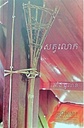 សត្វលោក