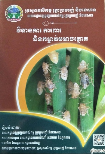 វិធានការ ការពារ និងកម្ចាត់មមាចត្នោត