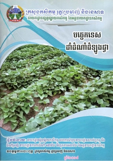 បច្ចេកទេសដាំដំណាំដំឡូងជ្វា