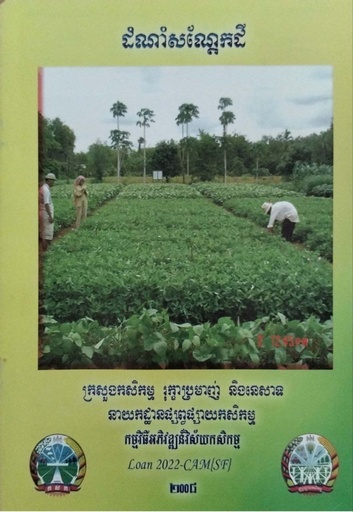 ដំណាំសណ្ដែកដី