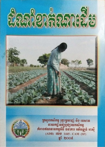 ដំណាំខាត់ណាដើម