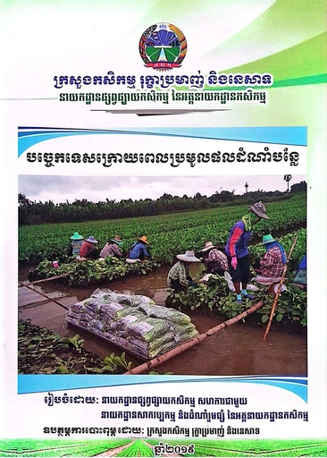 បច្ចេកទេសក្រោយពេលប្រមូលផលដំណាំបន្លែ