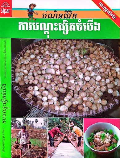 ការបណ្តុះផ្សិតចំបើង (NF01)