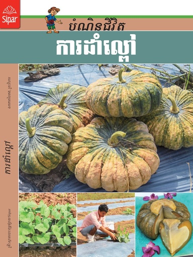 ការដាំល្ពៅ (NF26)