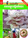 ការបណ្តុះផ្សិតអំបោះ (NF02)